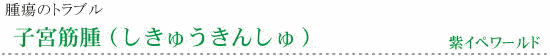 子宮筋腫と紫イペストロンについて